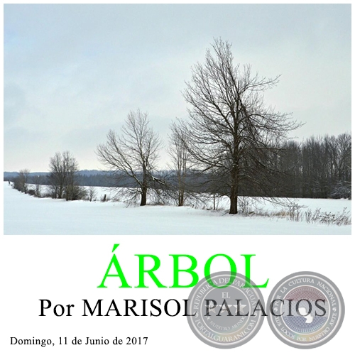 ÁRBOL - Por MARISOL PALACIOS - Domingo, 11 de Junio de 2017